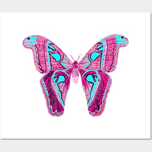 Pink butterfly Posters and Art